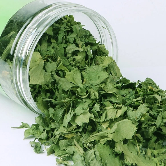 High quality dehydrated celery leaves 10*10mm