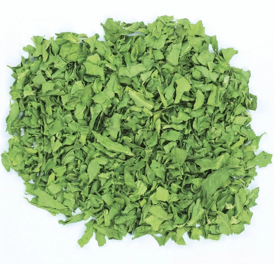 High quality dehydrated spinach leaves 10*10mm